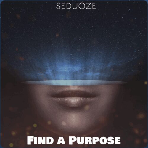 seduoze – Find a Purpose